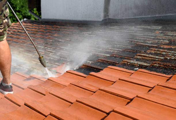 Best Residential Pressure Washing Services  in Logan Elm Village, OH