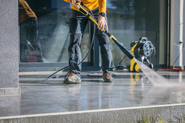 Best Roof Pressure Washing  in Logan Elm Village, OH