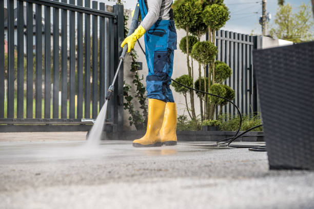 Best Deck Cleaning Services  in Logan Elm Village, OH