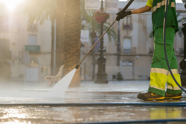 Roof Power Washing Services in Logan Elm Village, OH