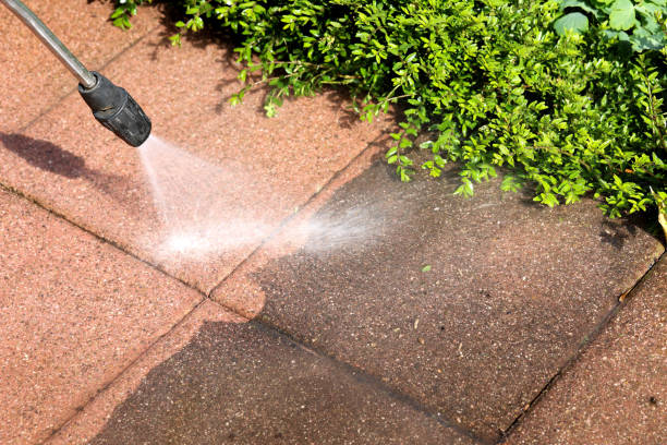 Best Affordable Power Washing  in Logan Elm Village, OH